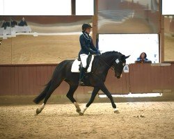 broodmare Lirabelle 2 (Westphalian, 2011, from Licotus)