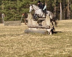 jumper Rondeña JLSL (Pura Raza Espanola (PRE), 2018, from Lectivo III)