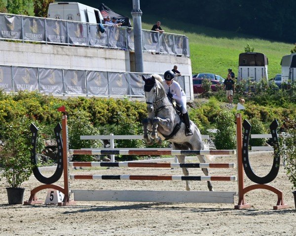 Springpferd Dagobert H (Deutsches Reitpferd, 2015, von Diabolo 225)