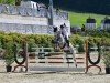 Springpferd Dagobert H (Deutsches Reitpferd, 2015, von Diabolo 225)