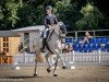 dressage horse Claretto 3 (Holsteiner, 2011, from Clarimo Ask)