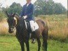 jumper Santana 610 (German Riding Pony, 1999, from Top November Rain)