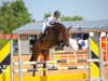 jumper Cancarra W (German Sport Horse, 2016, from Actender)