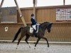 dressage horse Elegant Air (German Sport Horse, 2019, from Harmony's Eclectisch)