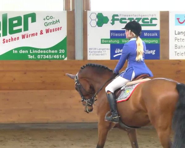 Late-Entry Langenau 2013
