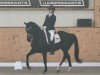 dressage horse Gill Flanell (Oldenburg, 2015, from Grey Flanell)