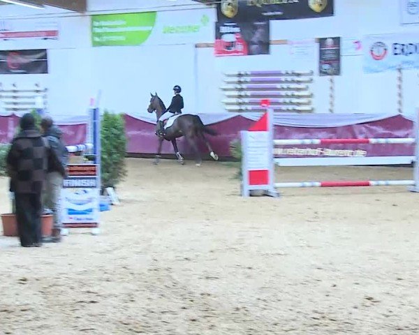 Reitturnier Eicherloh 2025