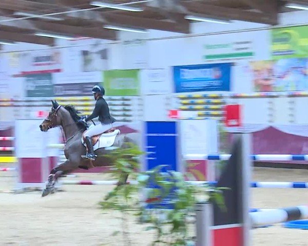 Reitturnier Eicherloh 2025