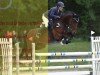 broodmare Debelina (German Sport Horse, 2011, from Monte Bellini)
