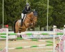 Springpferd Keanette B. (KWPN (Niederländisches Warmblut), 2015, von Tangelo van de Zuuthoeve)