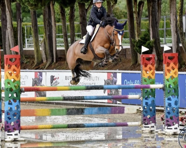 jumper Masai de Merignat (Danish Warmblood, 2019, from Million Dollar)