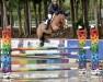 jumper Masai de Merignat (Danish Warmblood, 2019, from Million Dollar)