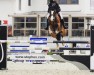 jumper Genepy B (Belgian Warmblood, 2006, from Querlybet Hero)