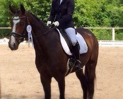 dressage horse Sir Sansibar (Westphalian, 2010, from Son of Cologne)