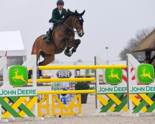jumper Lugaignac des Pouplis (Belgian Warmblood, 2011, from Broere Atlantic)