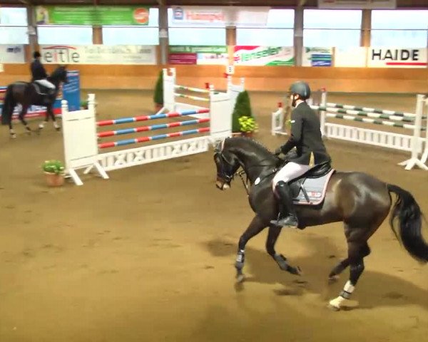 Late-Entry Langenau 2013