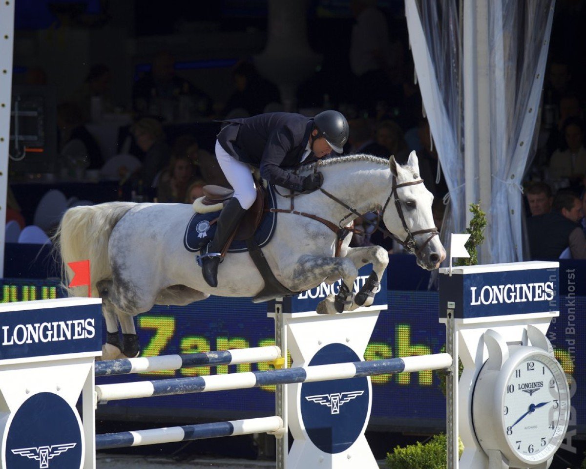 jumper Eloma's Blue SFN (KWPN (Royal Dutch Sporthorse), 2009, from Mr Blue)