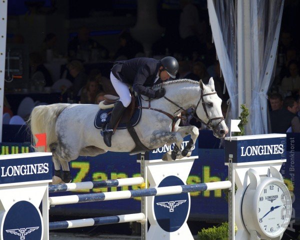 jumper Eloma's Blue SFN (KWPN (Royal Dutch Sporthorse), 2009, from Mr Blue)