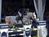 jumper Eloma's Blue SFN (KWPN (Royal Dutch Sporthorse), 2009, from Mr Blue)
