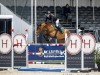 jumper Special Lady (KWPN (Royal Dutch Sporthorse), 2002)