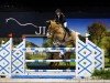 jumper Harley (KWPN (Royal Dutch Sporthorse), 2012, from Clintino)