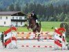 jumper Acurados 2 (Bavarian, 2008, from Acolydor)