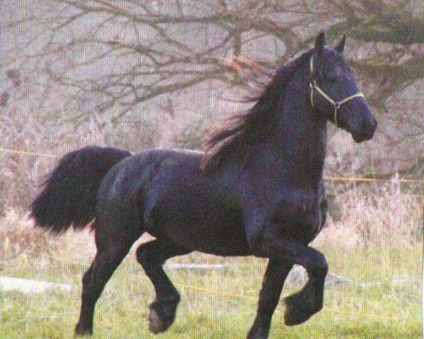 Pferd Brand (Friese, 2000, von Olof 315 P)