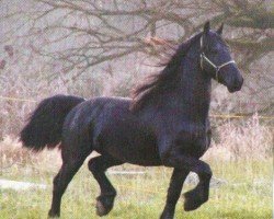 horse Brand (Friese, 2000, from Olof 315 P)