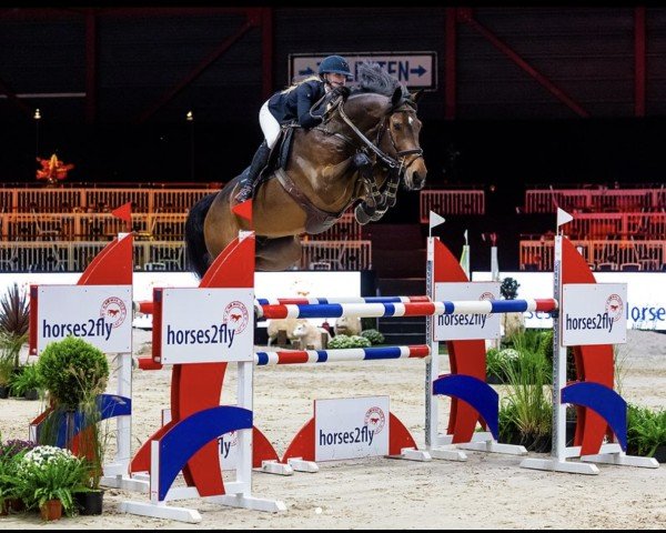 jumper Limoncello's Gloej (KWPN (Royal Dutch Sporthorse), 2016, from Glenfiddich VDL)