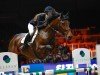 jumper Lookalike B (KWPN (Royal Dutch Sporthorse), 2016, from Glenfiddich VDL)