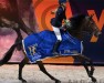 jumper Jetoulon Pk (KWPN (Royal Dutch Sporthorse), 2014, from Etoulon VDL)