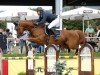 jumper Oscar CG (Belgian Warmblood, 2014, from Der Senaat 111)
