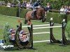 jumper Joie de Vigo R.t. (KWPN (Royal Dutch Sporthorse), 2014, from Vigo d'Arsouilles)