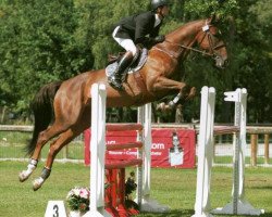 broodmare Quiria D'Orion (Selle Français, 2004, from Calvaro Z)