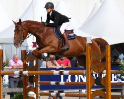 broodmare Boreale de Fondcombe (Selle Français, 2011, from Tinka's Boy)