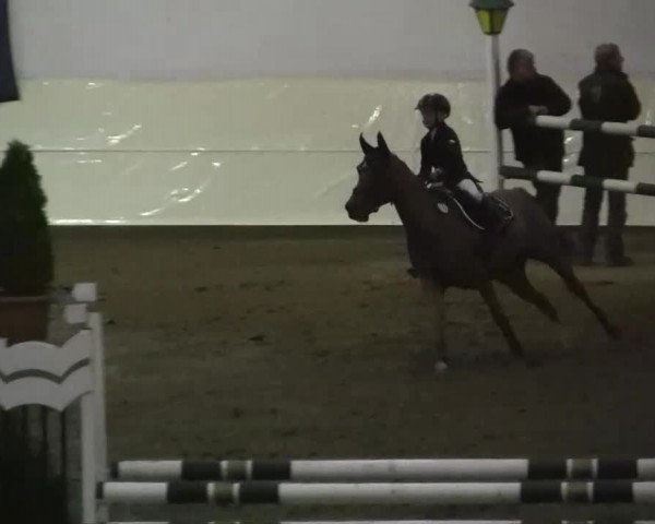 16. Legdener Pony-Meeting