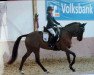 dressage horse Donna Diara S (German Riding Pony, 2009, from Fs Dr Watson)