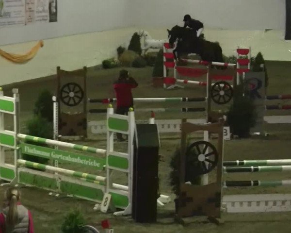 16. Legdener Pony-Meeting