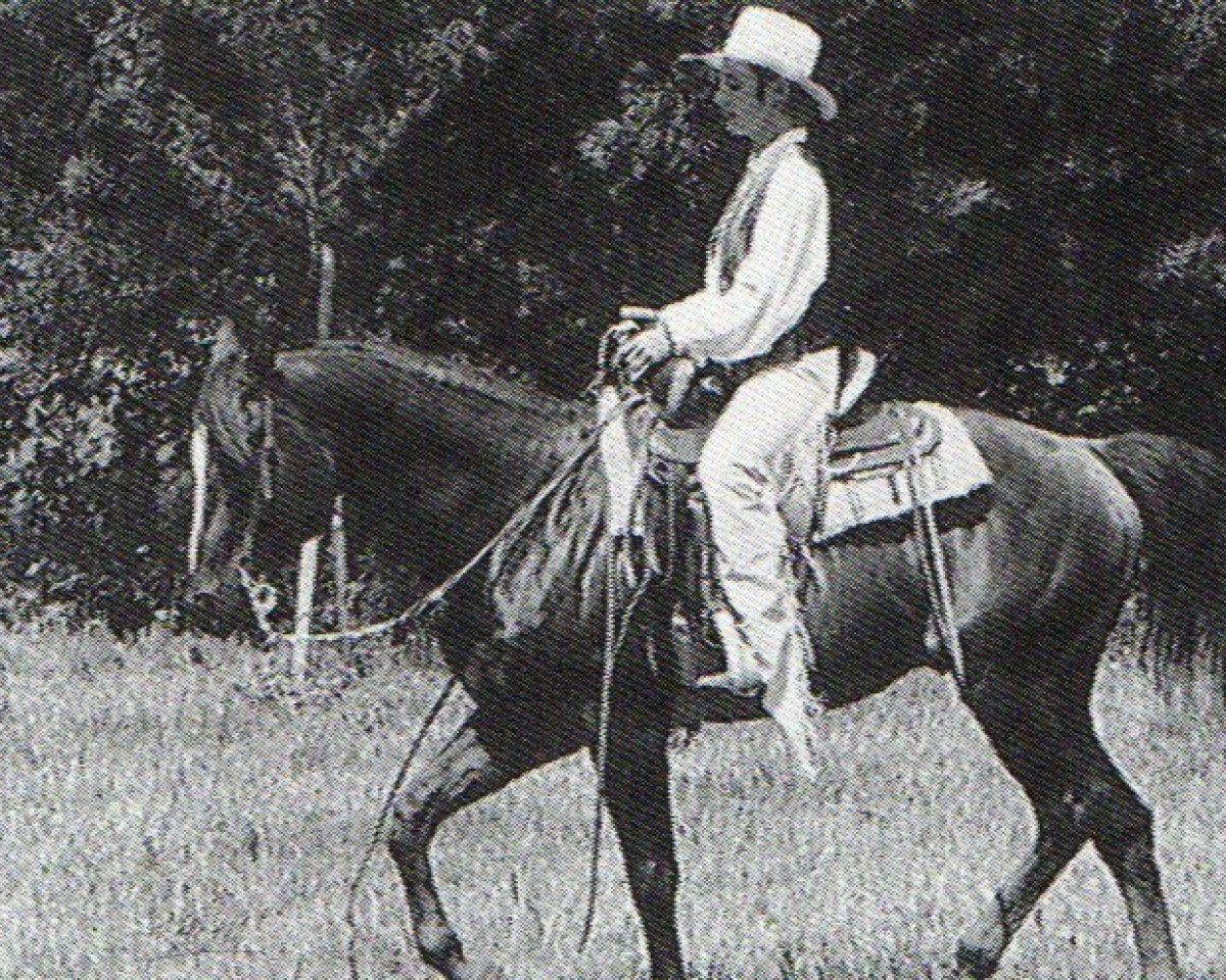 horse Docs Puddin (Quarter Horse, 1982, from Doc's Little Bit)