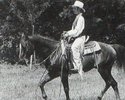 horse Docs Puddin (Quarter Horse, 1982, from Doc's Little Bit)
