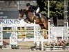 jumper Madara 4 (Holsteiner, 2019, from Million Dollar)