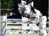jumper Corny 16 (Westphalian, 2015, from Cornet Obolensky)