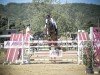 jumper Kannjo (Hanoverian, 2017, from Kannan)