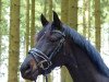 dressage horse Soel'rings Jolene (German Riding Pony, 2016, from Soel'rings Cadeau Noir)