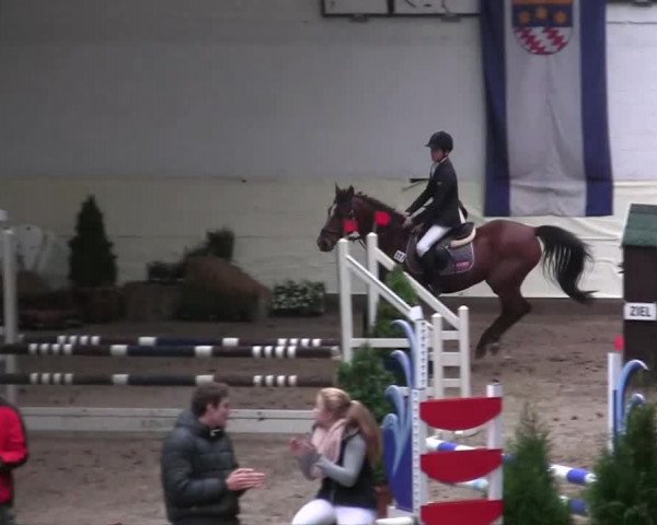 16. Legdener Pony-Meeting