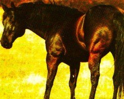 stallion Keen Freckles (Quarter Horse, 1983, from Colonel Freckles)