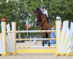 jumper Indira-Retta (KWPN (Royal Dutch Sporthorse), 2013, from Plot Blue)
