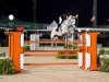 jumper Vitus K (Hanoverian, 2010, from Verdi)