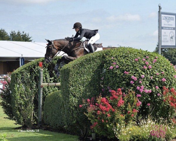 jumper For Serrano Sr (Holsteiner, 2007, from For Pleasure)