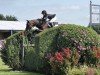 jumper For Serrano Sr (Holsteiner, 2007, from For Pleasure)